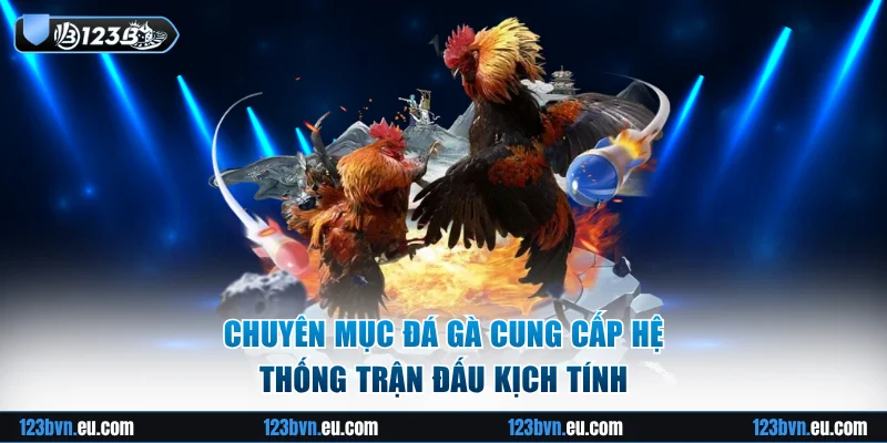 Chuyên mục đá gà cung cấp hệ thống trận đấu kịch tính