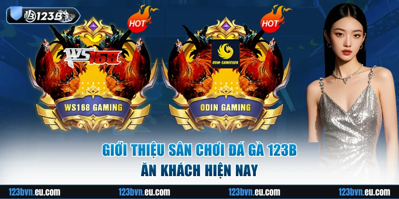 Giới thiệu sân chơi đá gà 123B ăn khách
