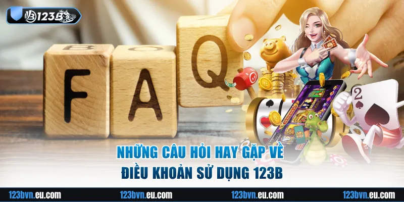 Những câu hỏi hay gặp về điều khoản sử dụng